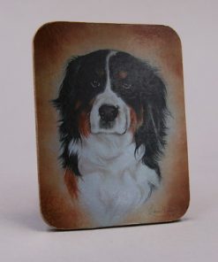 Bordskåner - mini - kork