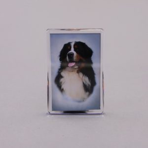Magnet med Berner hoved