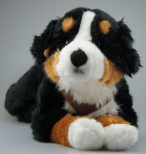 Liggende Berner bamse med seletøj på