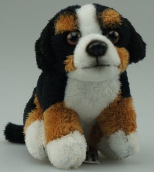 Plys Berner, nøglering
