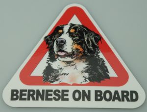 Klistermærke - Bernese on Board