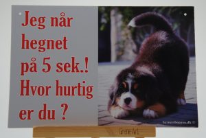Skilt - Hvor hurtig er du ?