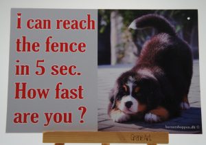 Skilt - How fast are you ?