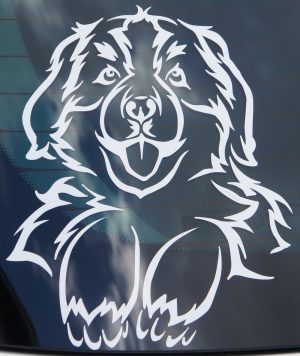 Stickers , Berner hvalp.