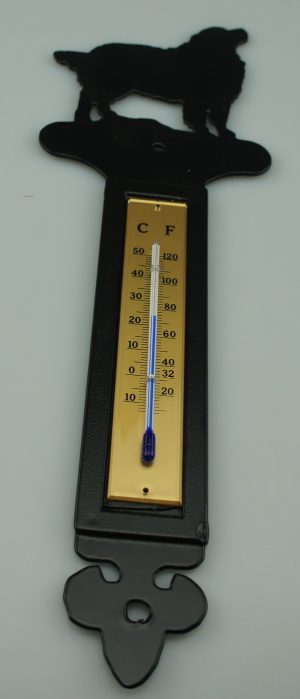 Termometer i smedejern.
