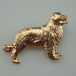 Broche med Berner
