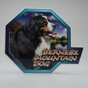 Bernese Mountain dog, kantet klistermærke