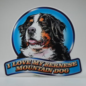 I love my Bernese... klistermærke