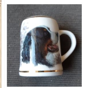 Minikrus med Berner.