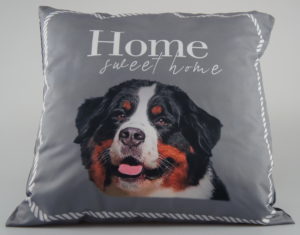 Grå pude med Berner hoved.