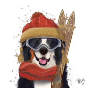 Servietter, Berner med ski.