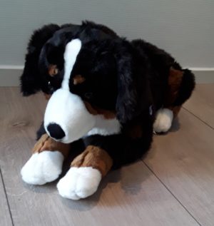 Stor liggende Berner 70 cm.