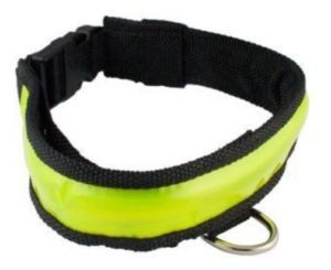 Sportbrite lyshalsbånd. Gult med D-ring.