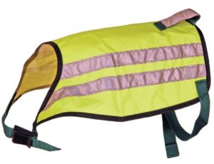 Gul refleksvest til hunden.