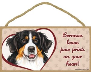 Skilt "Berneses leave paw prints on your heart! "