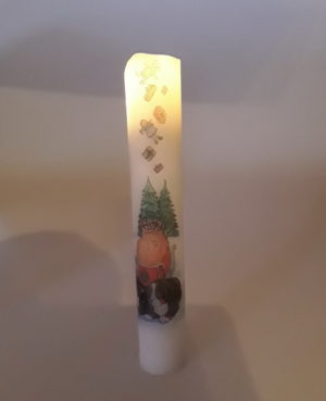 LED-kalenderlys med Berner Sennen motiv.