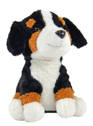 Talende Berner Bamse.