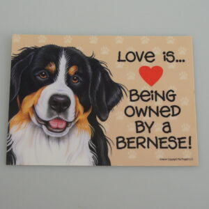 Skilt i plast med magnet bagpå - Love is....